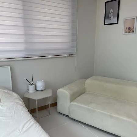 Quiet And Spacious 1-Bedroom Apt In Gangnam